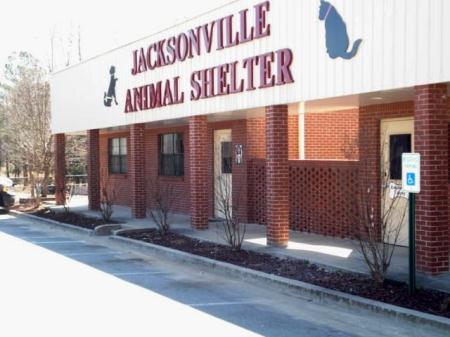 Animal Shelter